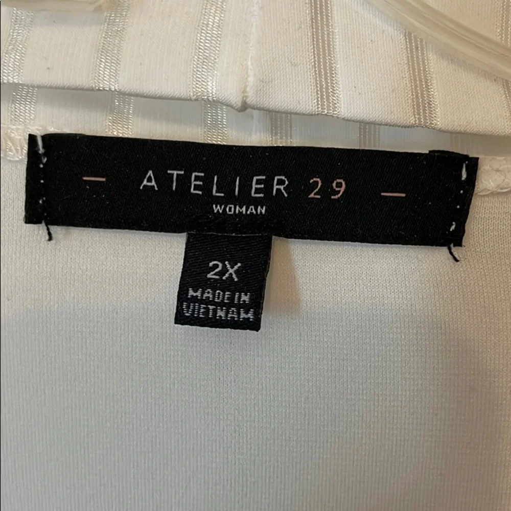 Beige blouse 2X. Shell and sheer overshirt. - Picture 3 of 5